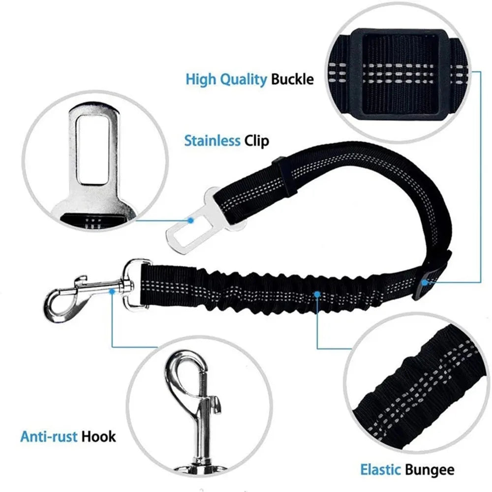 SafeTail Strap
