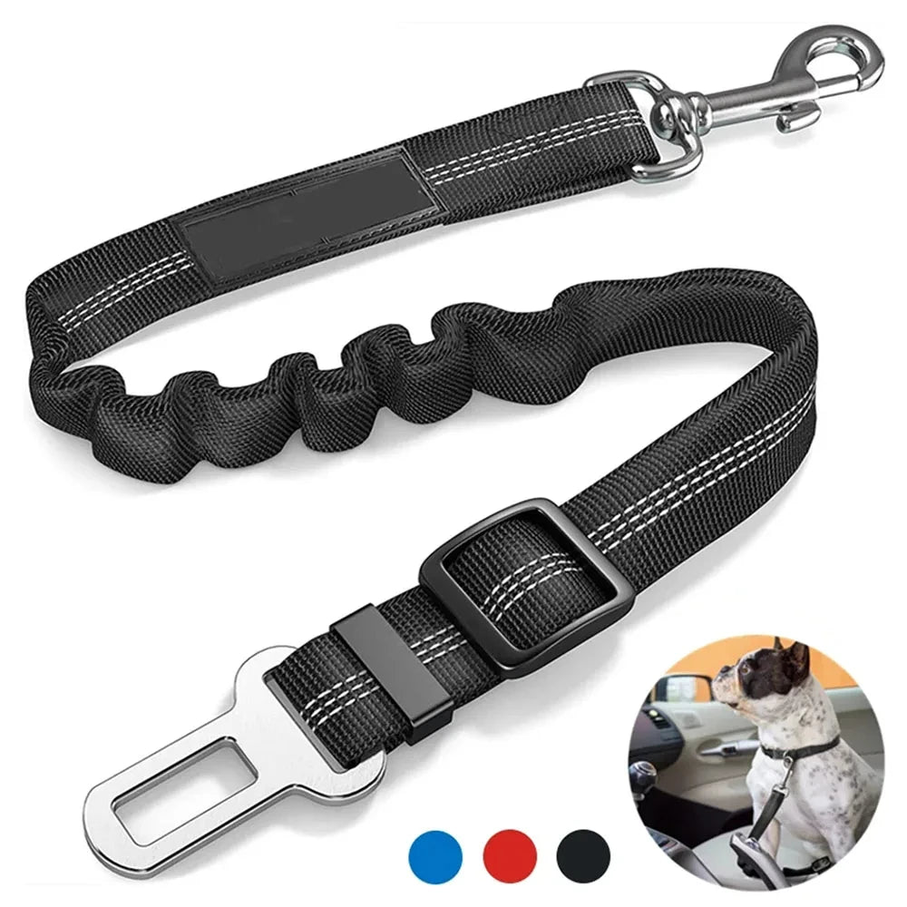 SafeTail Strap