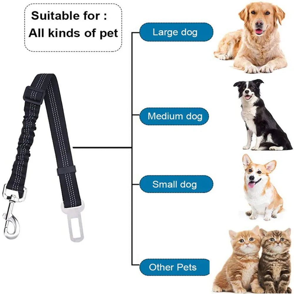 SafeTail Strap