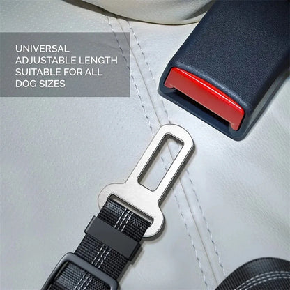 SafeTail Strap